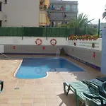 Safari كاليليا