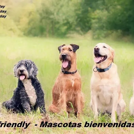 Safari Aparthotel 2*